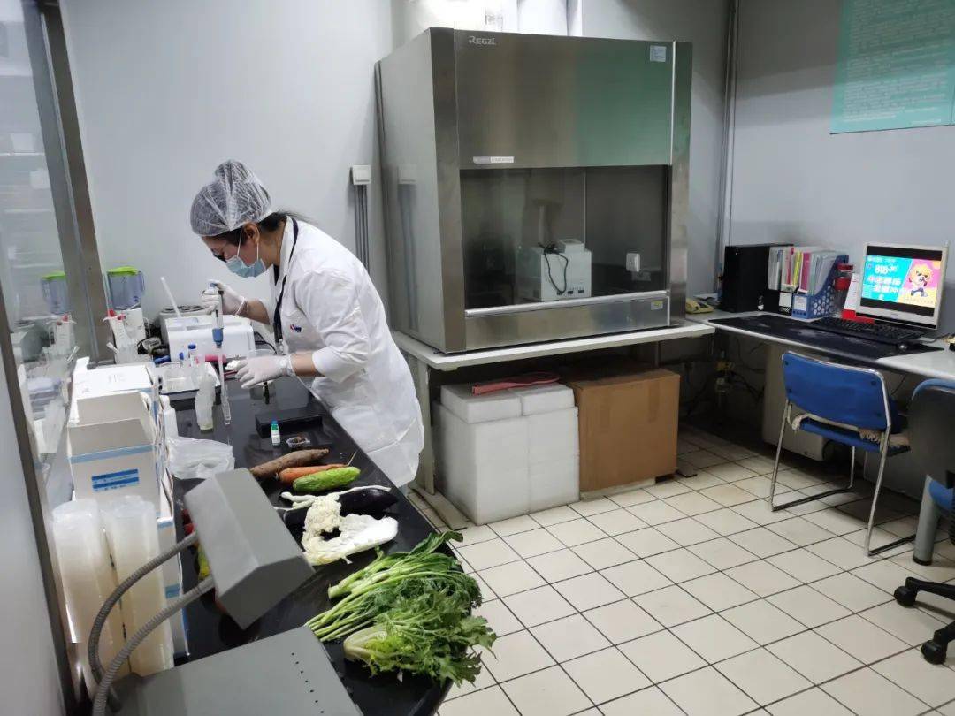 和田食品检测实验室装修方案